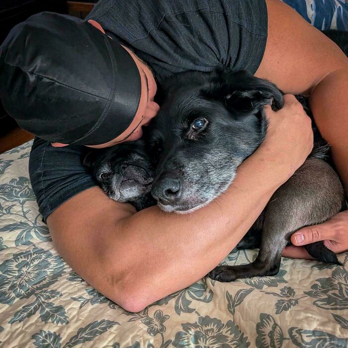 A man hugs two dogs on a bed, creating a confusing perspective.