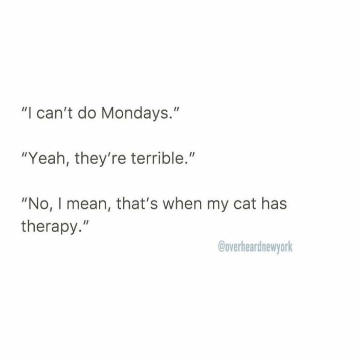 Text conversation example from wildest NYC conversations where someone talks about Mondays and cat therapy.