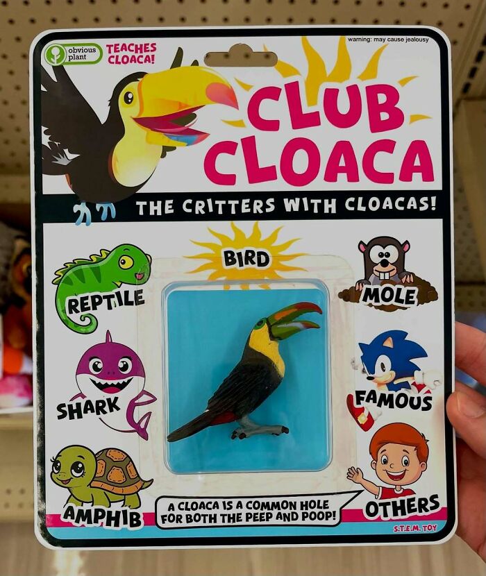 Funny fake bird toy product sneaked into real stores, part of the humorous fake products collection.