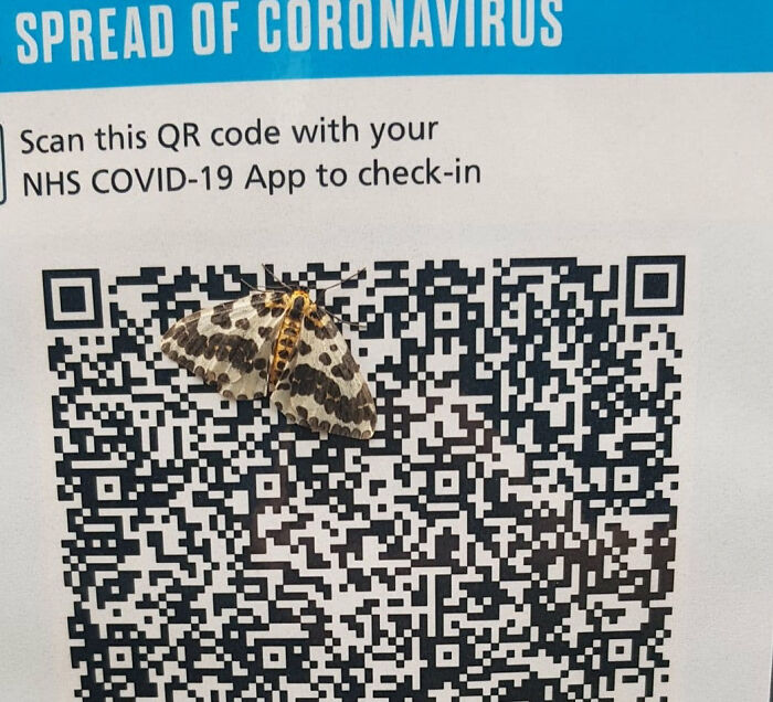 Just A Qr Code