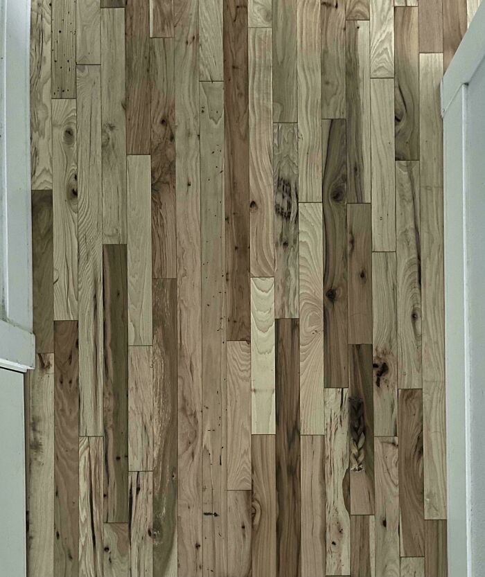 The Number Of Times I’ve Stepped On My Dog’s Bone…