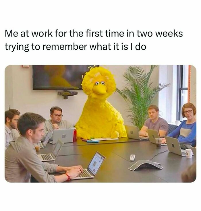 Office meeting with a person in a Big Bird costume looking confused, a funny meme about the circle of idiots.