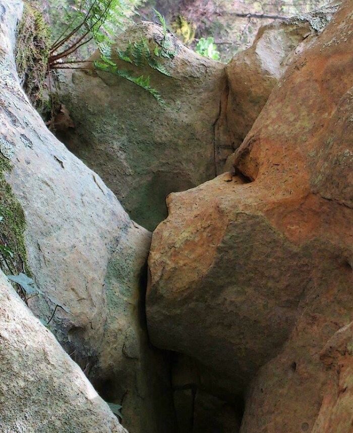 Rock formation resembling a human face, illustrating pareidolia in nature.