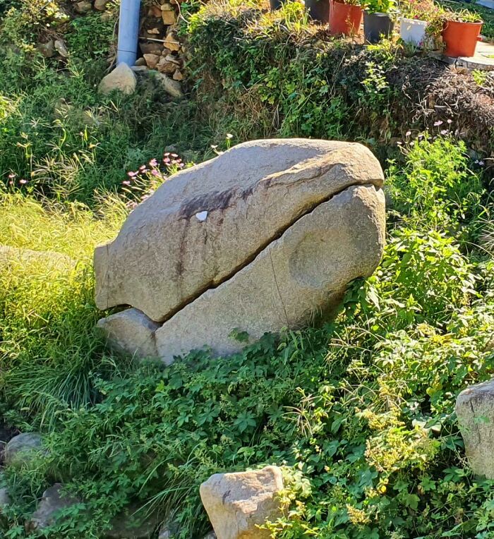 A rock formation resembling a giant fish head, surrounded by greenery. Pareidolia-Pictures example in nature.