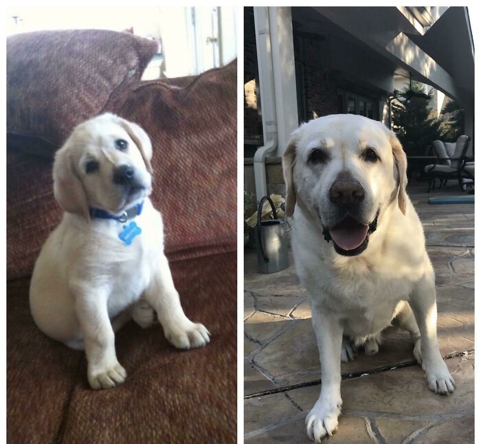 10 Weeks To 10 Years