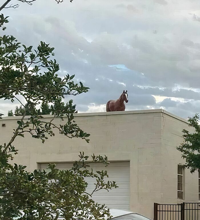 From Bad Decisions To Bizarre Timing, Here Are 40 Cursed Images That Defy Explanation