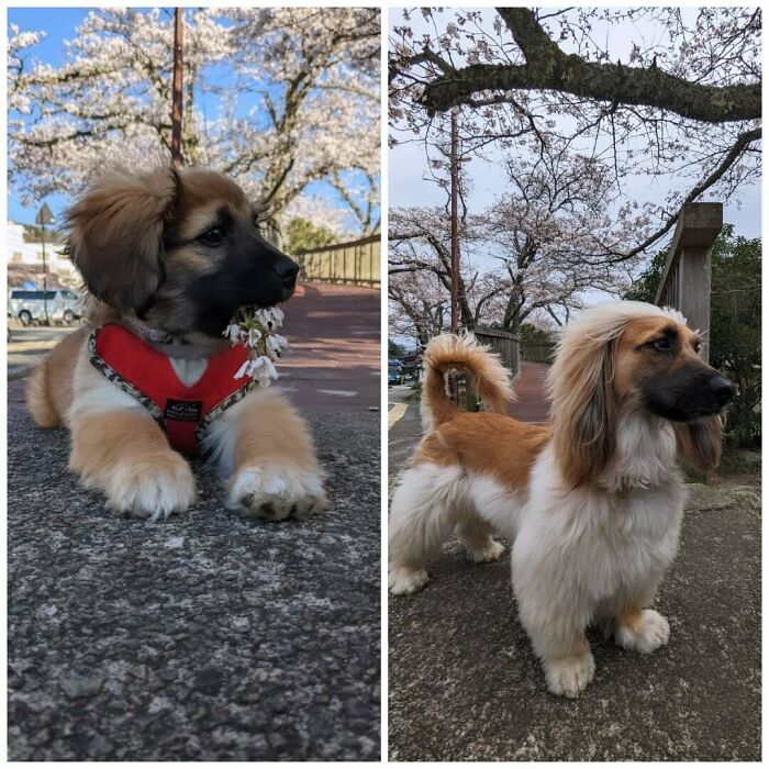 1 Year Difference