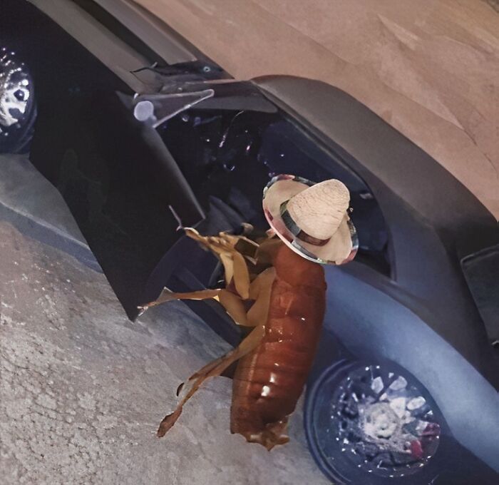 From Bad Decisions To Bizarre Timing, Here Are 40 Cursed Images That Defy Explanation