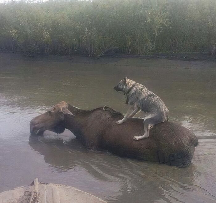 From Bad Decisions To Bizarre Timing, Here Are 40 Cursed Images That Defy Explanation