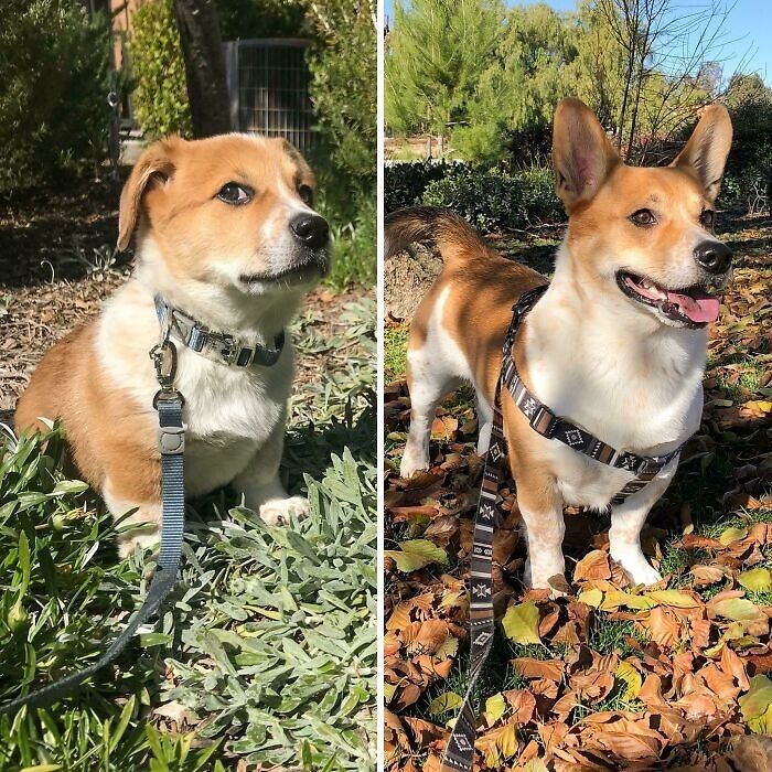 From 2 Months To 2 Years