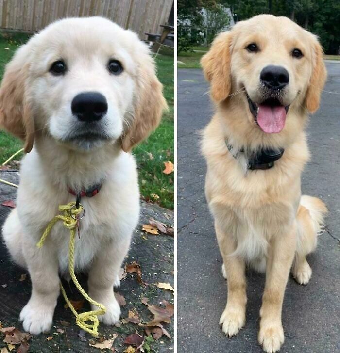 A Year Later And Carsen Has Learned To Smile!