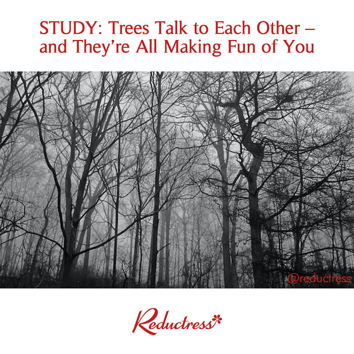 Black and white photo of bare trees with a humorous fake article headline from Reductress online magazine.