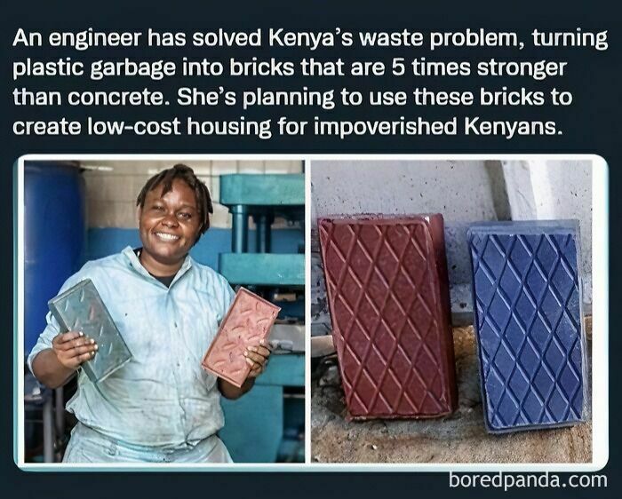 Wholesome-Meet-The-Internet-Best-All-Time