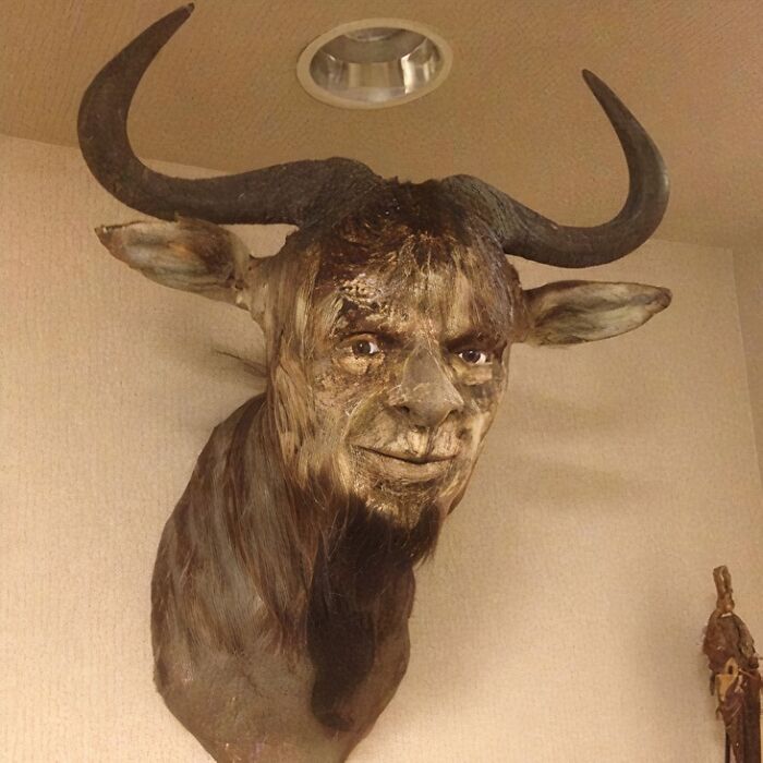 From Bad Decisions To Bizarre Timing, Here Are 40 Cursed Images That Defy Explanation