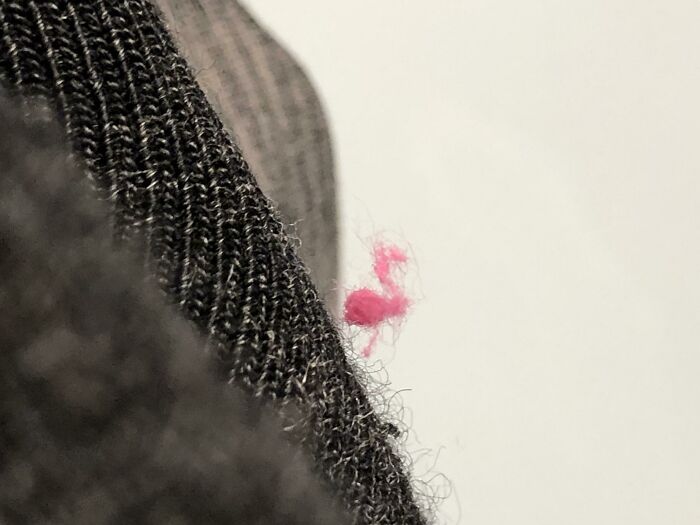 Tiny pink lint resembling a flamingo caught on a black fabric, illustrating pareidolia.