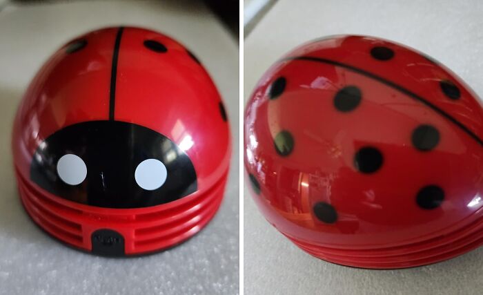 Small red ladybug-shaped desk accessory designed to add desk joy and brighten your workday experience.