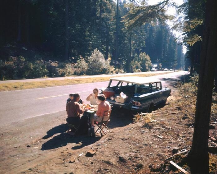 Group of people enjoying a roadside picnic next to a vintage car in a forest setting.