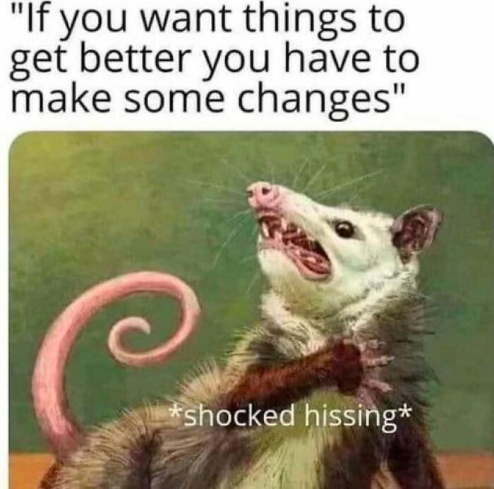 Possum meme about change with "shocked hissing" text, relatable for barely functioning individuals.