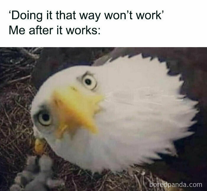Eagle looking surprised with meme text about success, fitting hilarious posts for people using humor as a coping mechanism.