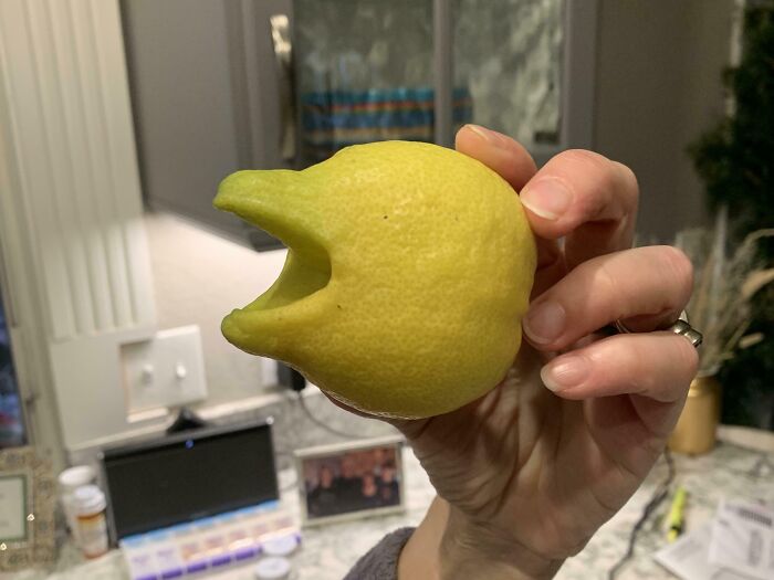 Person holding a lemon resembling a bird's beak, showcasing pareidolia in a kitchen setting.