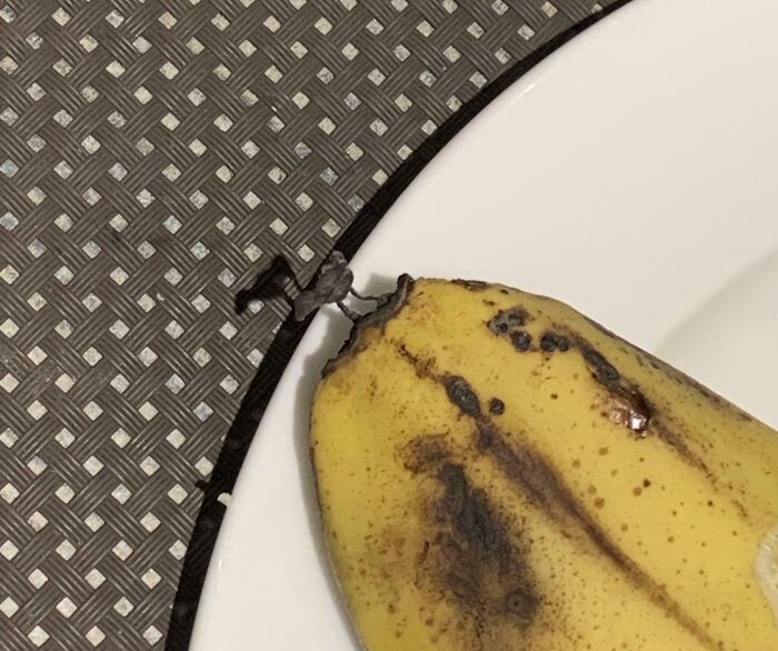 Banana with dark spots resembling a face, illustrating pareidolia on a patterned background.