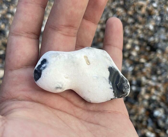 A hand holds a rock resembling a cartoon-like dog face, demonstrating pareidolia effects.