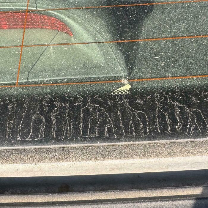 Dust patterns on a car window resembling animal shapes, showcasing pareidolia.