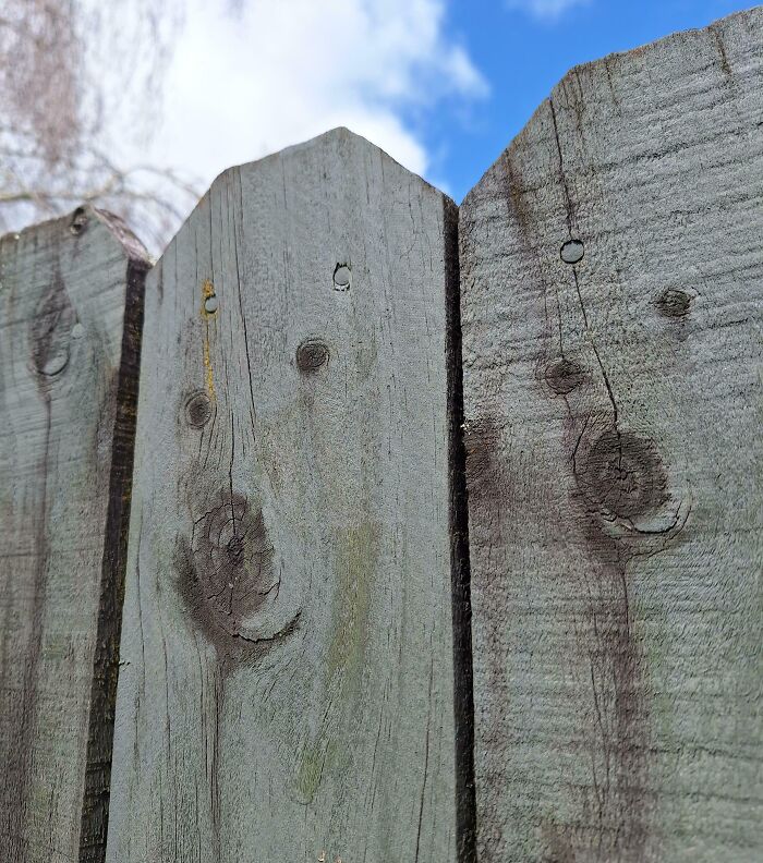 Wooden fence with knots resembling facial features, illustrating pareidolia under a blue sky.