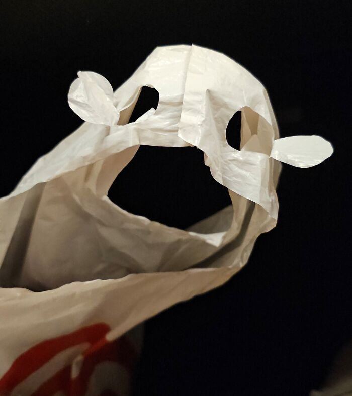 Plastic bag with cutouts resembling a smiling face, illustrating pareidolia.