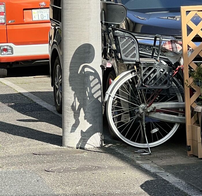 A shadow on a pole creates a dinosaur shape, showcasing pareidolia pictures in an urban setting with a bicycle nearby.