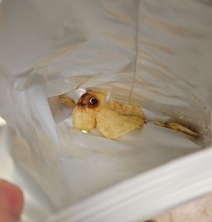 Pareidolia-Pictures: Potato chip in a bag resembling a fish with a distinct eye pattern.