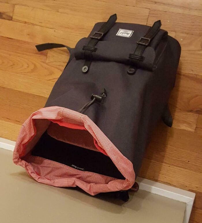 Backpack on the floor resembles a seal, showcasing pareidolia effect with its open flap appearing as a mouth.