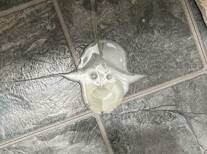 Spilled liquid on tiles resembling a face, demonstrating pareidolia effects.