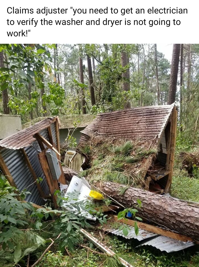 Collapsed shed from fallen tree in forest, highlighting nature disaster resilience challenges.