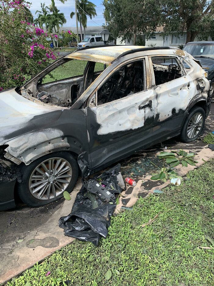 Burnt car aftermath showing nature disaster resilience with surrounding greenery.