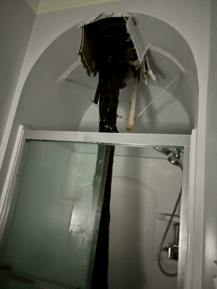 Bathroom ceiling damage with exposed pipes, illustrating nature-disaster-resilience challenges in homes.