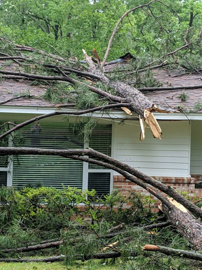 Fallen tree on house roof after storm, illustrating nature disaster resilience challenges.
