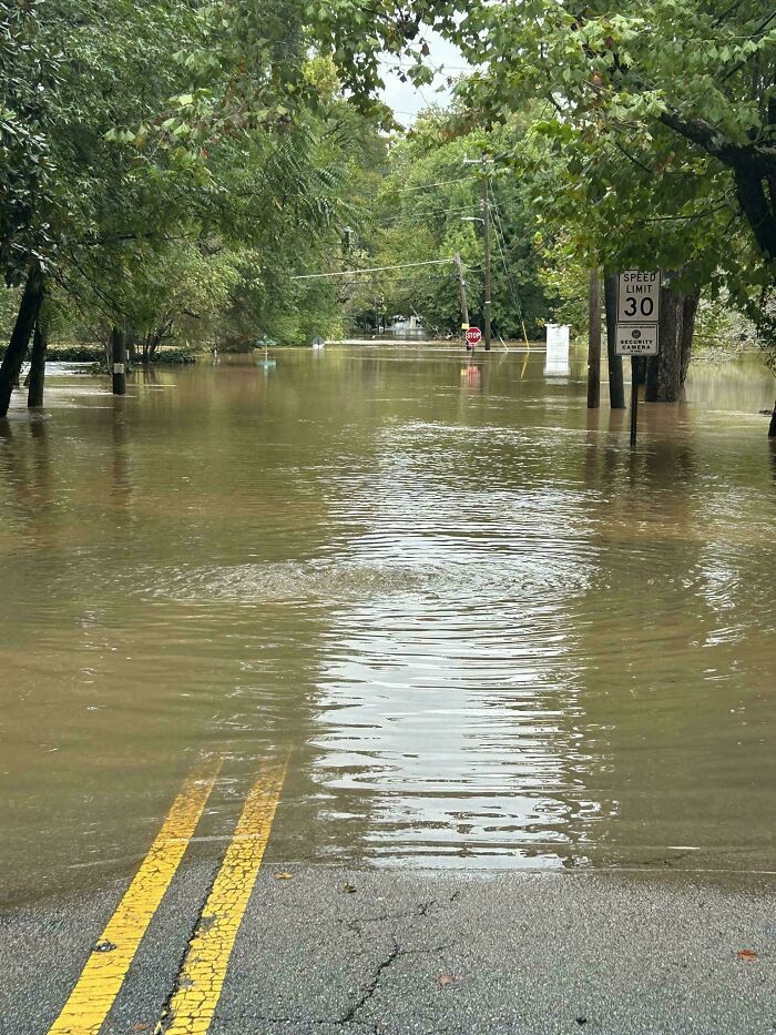 Flooded road surrounded by trees, highlighting nature disaster resilience.