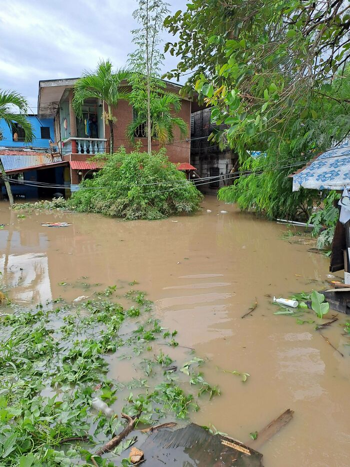 Flooded residential area surrounded by lush greenery, highlighting nature disaster resilience.