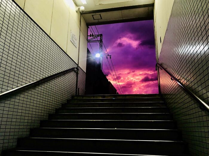 Purple sunset sky viewed from a tiled underground stairway, emphasizing nature's resilience.
