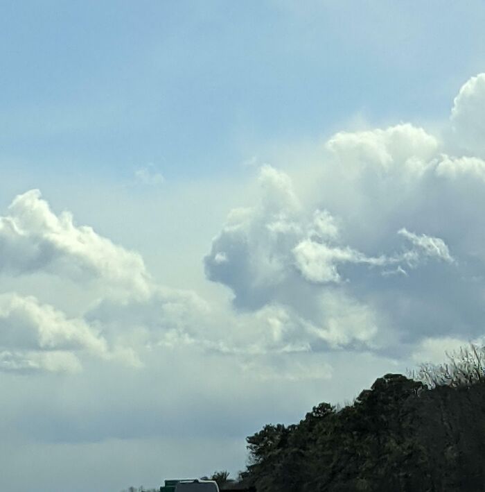Clouds resembling a face in the sky above a tree line, showcasing pareidolia-pictures.