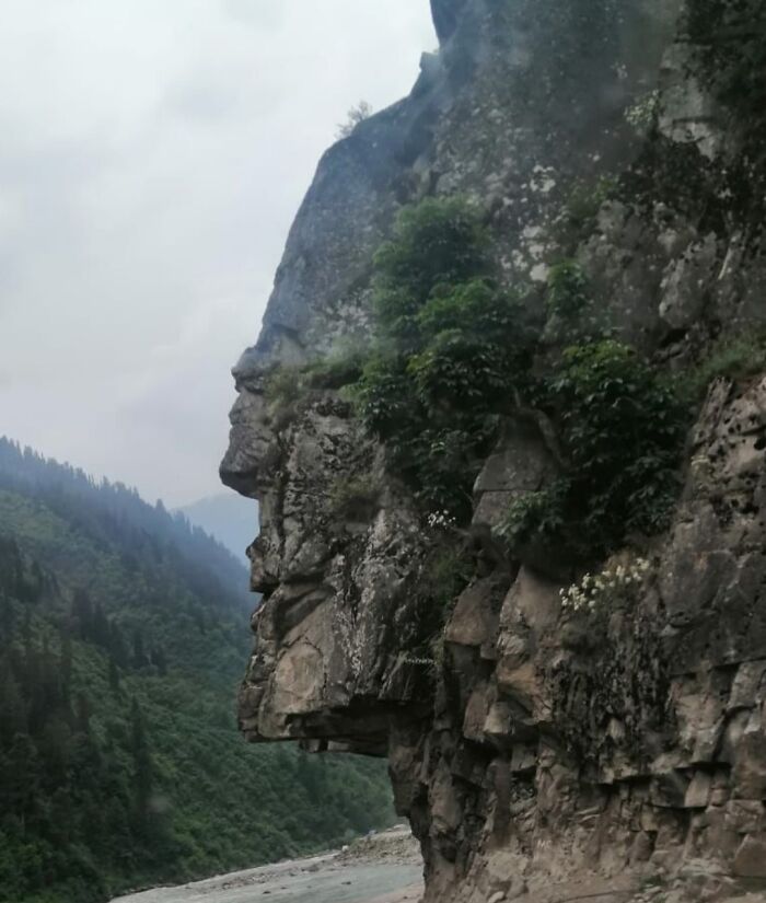 Rock formation resembling a human face, a classic example of pareidolia, with lush greenery in the background.