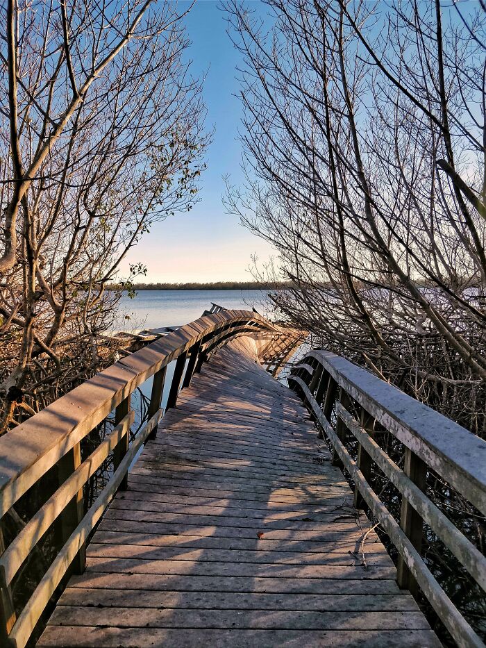 A damaged boardwalk leads to the lake, highlighting nature disaster resilience amidst bare trees at sunset.