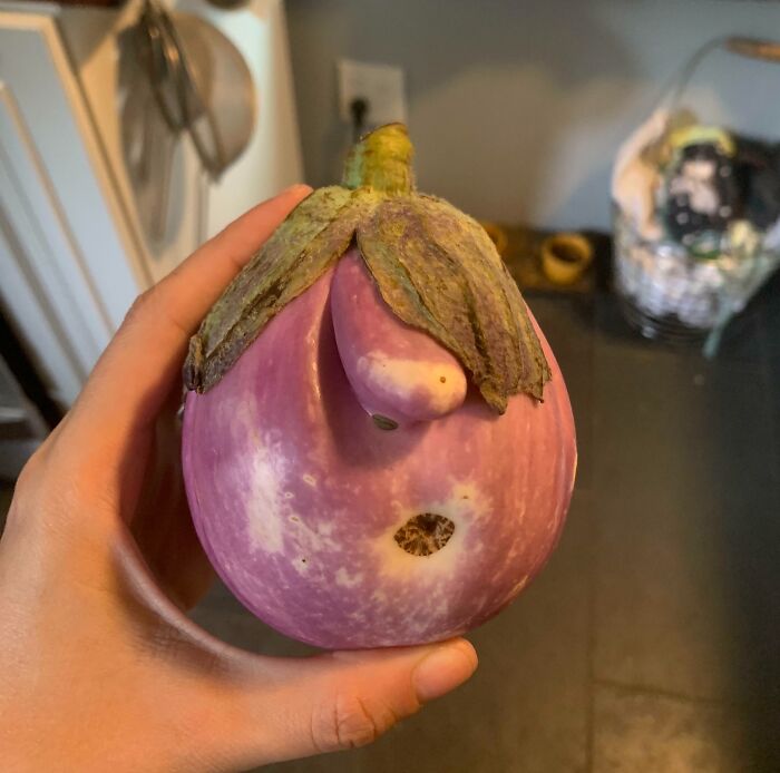 A hand holding an eggplant with facial features resembling a nose and mouth, showcasing pareidolia effects.