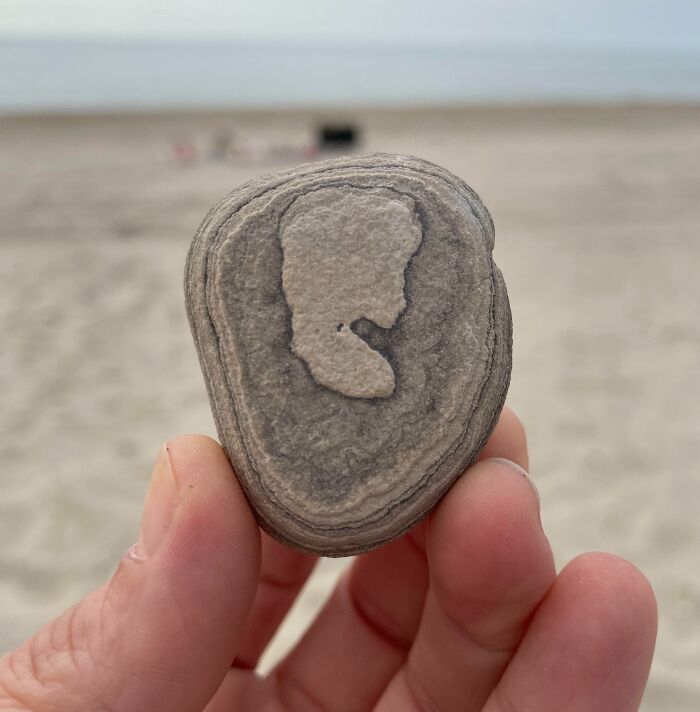Hand holding a rock with a natural pattern resembling a face, demonstrating pareidolia.