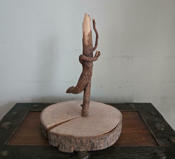 Tree branch resembling a dancing figure, showcasing pareidolia on a wooden base.