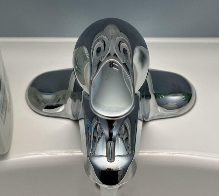 Chrome faucet resembling a penguin face, showcasing pareidolia phenomenon.