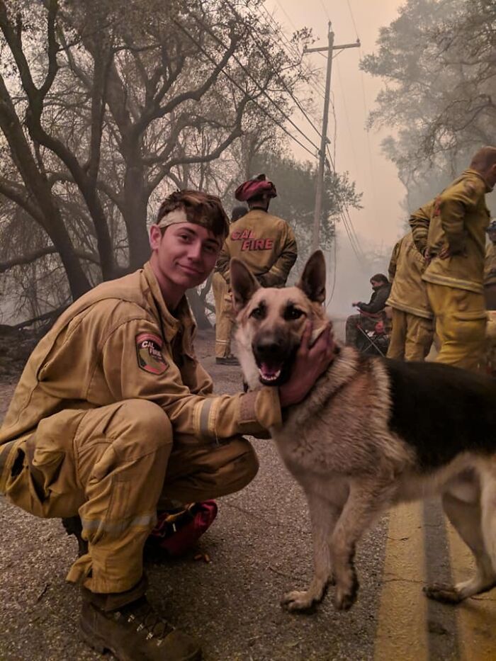 Firefighter in yellow gear with a German Shepherd, showcasing nature disaster resilience during a wildfire.