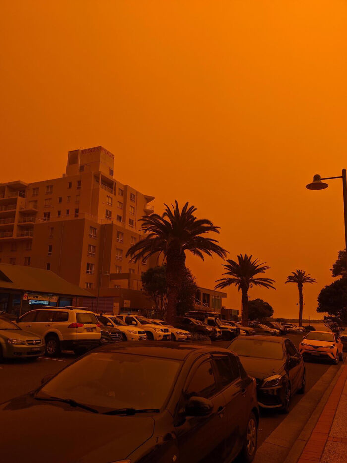 Orange sky over city street with parked cars and palm trees, illustrating nature disaster resilience.