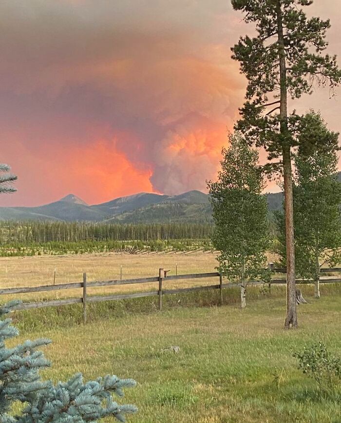 Wildfire in forest landscape illustrating nature disaster resilience with smoke and orange sky.